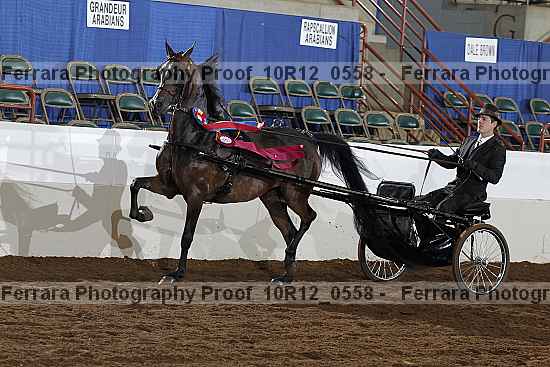 Proof 10r12_0558