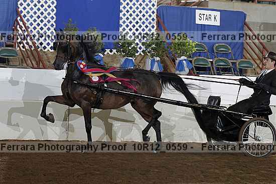 Proof 10r12_0559