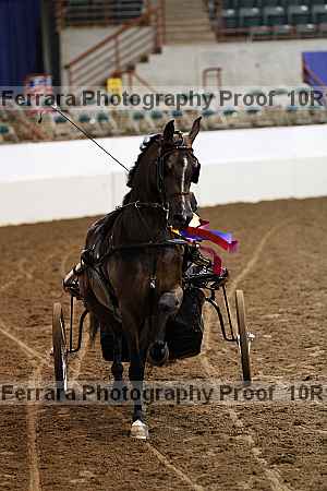 Proof 10r12_0560