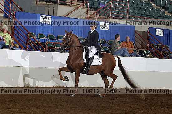 Proof 10r12_0569