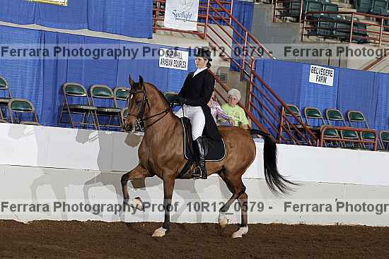 Proof 10r12_0579