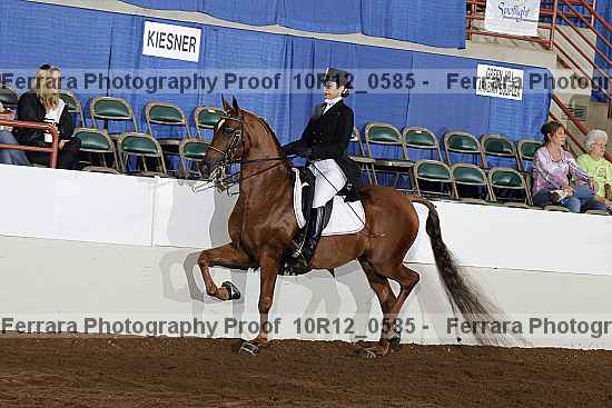 Proof 10r12_0585