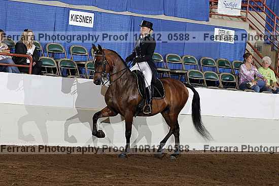 Proof 10r12_0588