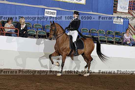 Proof 10r12_0590