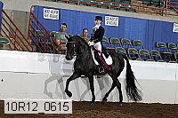10r12_0615 proof