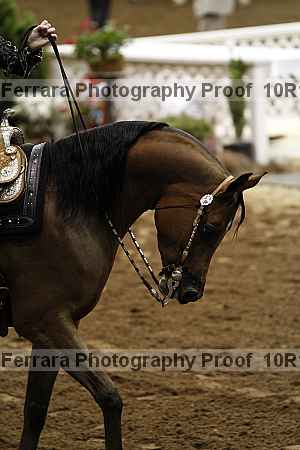Proof 10r12_0649