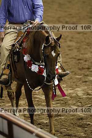 Proof 10r12_0731