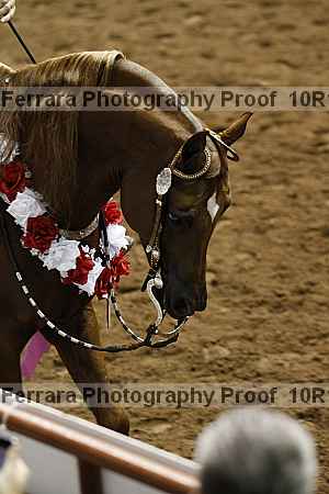 Proof 10r12_0733
