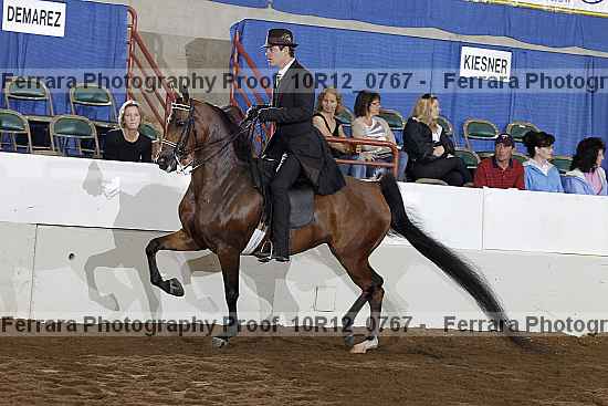 Proof 10r12_0767