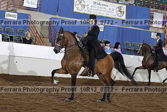 Proof 10r12_0772