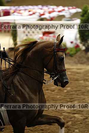 Proof 10r12_0775