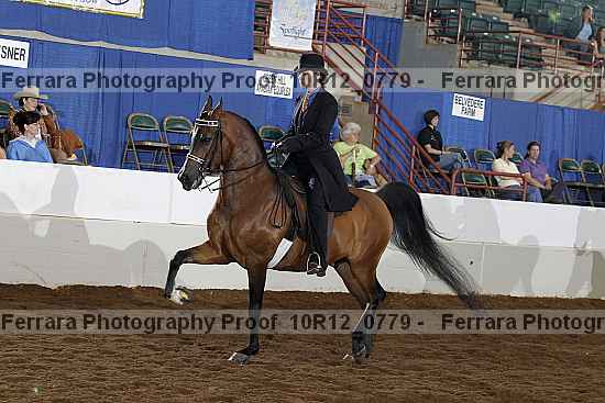 Proof 10r12_0779