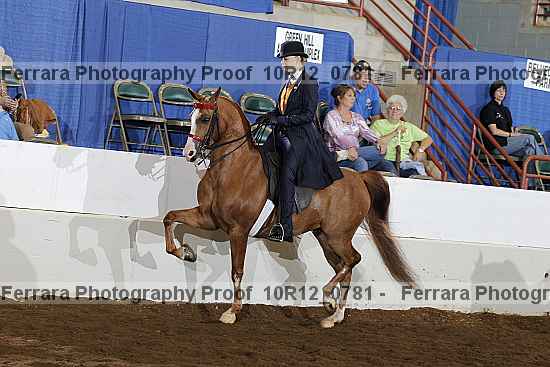 Proof 10r12_0781