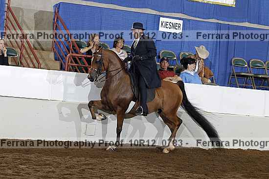 Proof 10r12_0783