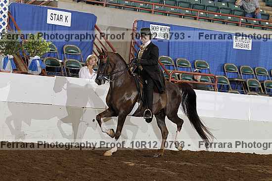 Proof 10r12_0793