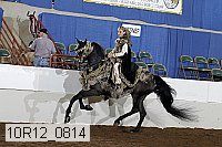 10r12_0814 proof