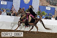 10r12_0867 proof