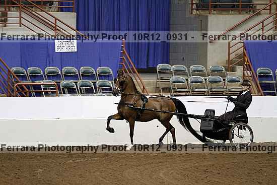 Proof 10r12_0931