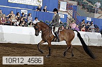 10r12_4586 proof