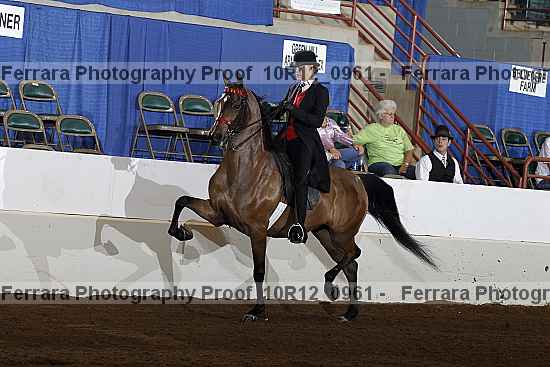 Proof 10r12_0961