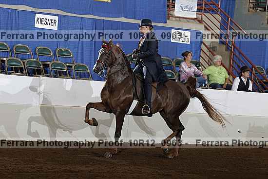 Proof 10r12_0963