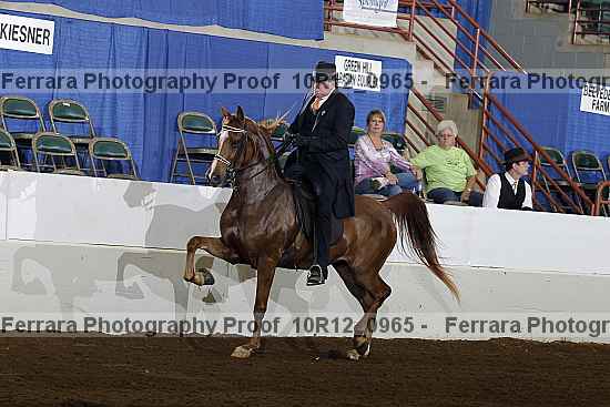 Proof 10r12_0965