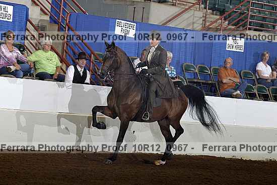 Proof 10r12_0967