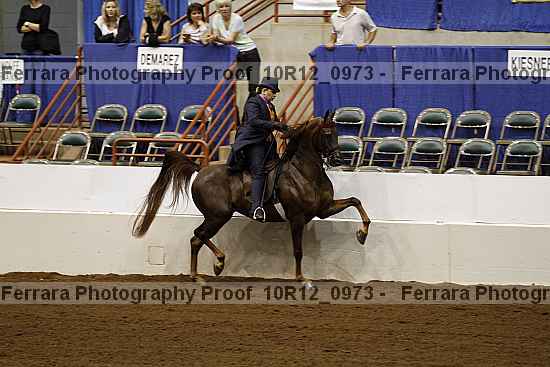 Proof 10r12_0973