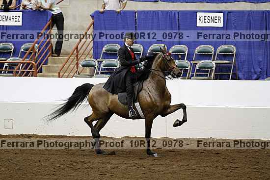 Proof 10r12_0978