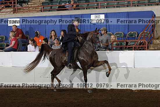 Proof 10r12_0979