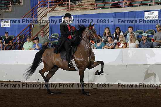 Proof 10r12_0981