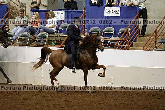 Proof 10r12_0982