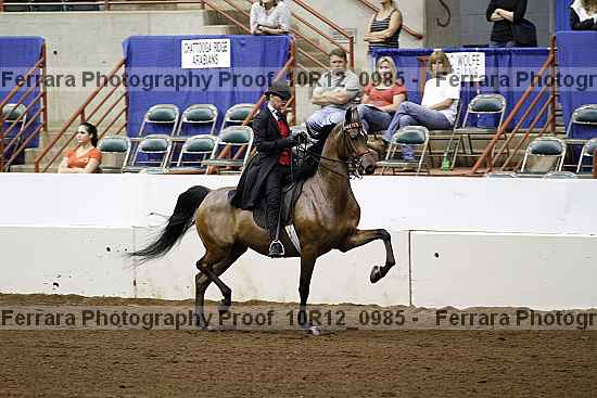 Proof 10r12_0985