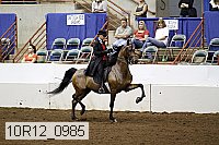 10r12_0985 proof