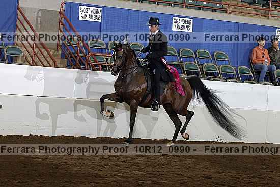 Proof 10r12_0990