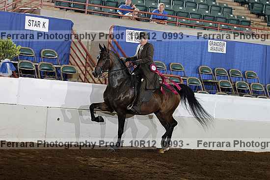 Proof 10r12_0993