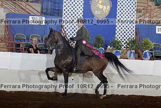 Proof 10r12_0995