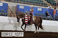 10r12_1077 proof