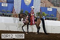 10r12_1099 proof