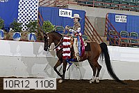 10r12_1106 proof