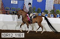 10r12_1161 proof