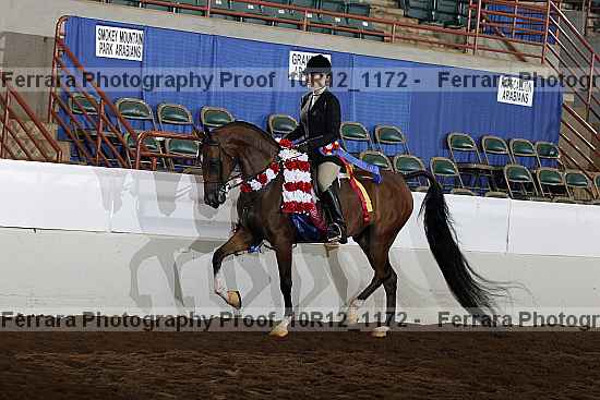 Proof 10r12_1172