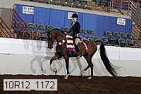 10r12_1172 proof