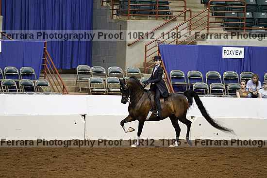 Proof 10r12_1186