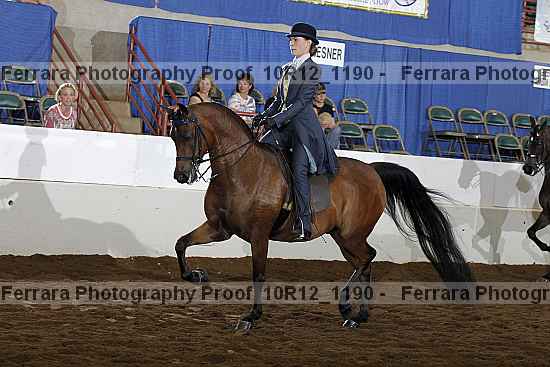 Proof 10r12_1190
