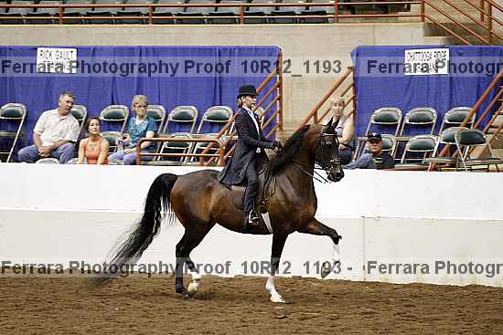 Proof 10r12_1193