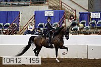 10r12_1195 proof