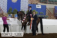 10r12_1200 proof
