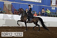 10r12_1232 proof