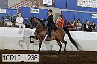 10r12_1236 proof